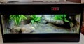 20240808_104208.jpg