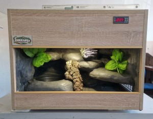 GOTOWE TERRARIUM 70X40X52  DLA WĘŻA ZBOŻOWEGO MAHONIOWEGO DOSTĘPNE OD RĘKI TROPIKALNE Z ARANŻACJĄ  I WYPOSAŻENIEM 3 lata gwarancji