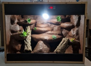 GOTOWE TERRARIUM 80X54X60 DLA GEKONA GEKONÓW AGAMY KARŁOWATEJ  DOSTĘPNE OD RĘKI PUSTYNNE Z ARANŻACJĄ  I WYPOSAŻENIEM 3 lata gwarancji (1)