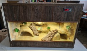 GOTOWE TERRARIUM 76X40X50 DLA GEKONA GEKONÓW DOSTĘPNE OD RĘKI PUSTYNNE Z ARANŻACJĄ  I WYPOSAŻENIEM PREZENT 3 lata gwarancji