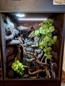 TERRARIUM DLA GEKONA ORZĘSIONEGO 45x45x90 NA ZAMÓWIENIE Z WYPOSAŻENIEM GEKON ORZĘSIONY (1)