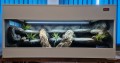 1000069138.jpg
