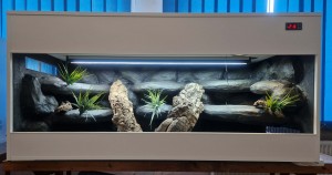 GOTOWE TERRARIUM 150x70x72 DLA AGAMY BRODATEJ AGAMA BRODATA PUSTYNNE Z WYPOSAŻENIEM I ARANŻACJĄ DOSTĘPNE OD RĘKI
