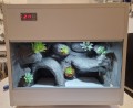 terrarium dla gekona