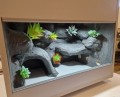 terrarium dla gekona