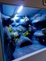 terrarium dla gekona