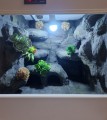terrarium dla gekona