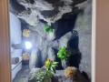 terrarium dla gekona