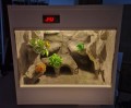 terrarium dla gekona