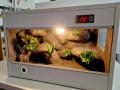 terrarium dla gekona