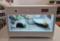 terrarium dla gekona