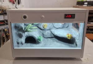 TERRARIUM NA ZAMÓWIENIE DLA GEKONA LAMPARCIEGO 60X40X40 PUSTYNNE Z ARANŻACJĄ