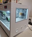 terrarium dla gekona