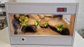 terrarium dla gekona
