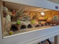 terrarium dla gekona