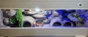 TERRARIUM 100X40X40 PUSTYNNE NA ZAMÓWIENIE DLA GEKONA GEKONÓW  Z ARANŻACJĄ  I WYPOSAŻENIIEM