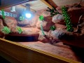 20240709_002855.jpg