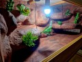 20240709_002911.jpg