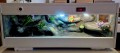 terrarium dla gekona
