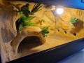 terrarium dla gekona