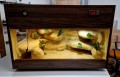 terrarium dla gekona