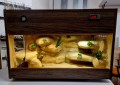 terrarium dla gekona