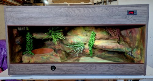 terrarium dla węża, terrarium dla węża zbożowego, terrarium dla zbożówki, terrarium dla pytona, mahoniowego