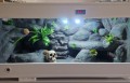 20240621_094342.jpg