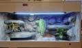 terrarium dla węża, terrarium dla węża zbożowego, terrarium dla zbożówki, terrarium dla pytona, mahoniowego, zbożówka, zbożowy, pyton