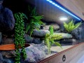 20240530_182113.jpg