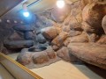 20240131_090341.jpg