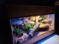 20231221_203917.jpg