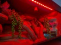 20240527_201245.jpg