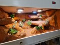 20240404_025740.jpg