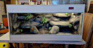 TERRARIUM  PUSTYNNE 120X50X50 DLA AGAMY KARŁOWATEJ AGAMA Z WYPOSAŻENIEM I ARANŻACJĄ MŁODA AGAMA BRODATA