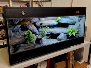 TERRARIUM 120X40X40 DLA AGAMY KARŁOWATEJ GEKONA GEKONÓW PUSTYNNE Z WYPOSAŻENIEM I ARANŻACJĄ  MŁODA AGAMA  BRODATA