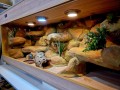 20240116_095326.jpg