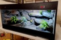 terrarium dla agamy, terrarium na zamówienie, terrarium dla agamy karłowatej, terrarium pustynne, terrarium docelowe, agama brodata, agama