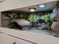 terrarium dla żółwia, terrarium na zamówienie, terrarium pustynne, żółw stepowy, żółw grecki, żółw lamparci