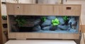 terrarium dla żółwia, terrarium na zamówienie, terrarium pustynne, żółw stepowy, żółw grecki, żółw lamparci
