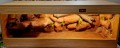 20240115_194949.jpg