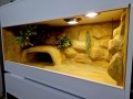 terrarium dla żółwia, terrarium na zamówienie, terrarium pustynne, żółw stepowy, żółw grecki, żółw lamparci