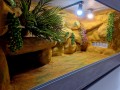terrarium dla żółwia, terrarium na zamówienie, terrarium pustynne, żółw stepowy, żółw grecki, żółw lamparci