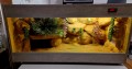 terrarium dla żółwia, terrarium na zamówienie, terrarium pustynne, żółw stepowy, żółw grecki, żółw lamparci