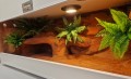 terrarium dla żółwia, terrarium na zamówienie, terrarium pustynne, żółw stepowy, żółw grecki, żółw lamparci