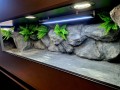 terrarium dla żółwia, terrarium na zamówienie, terrarium pustynne, żółw stepowy, żółw grecki, żółw lamparci