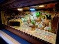 terrarium dla żółwia, terrarium na zamówienie, terrarium pustynne, żółw stepowy, żółw grecki, żółw lamparci