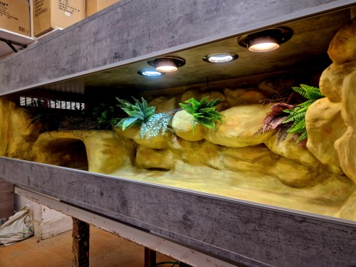 terrarium dla żółwia, terrarium na zamówienie, terrarium pustynne, żółw stepowy, żółw grecki, żółw lamparci
