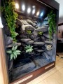 terrarium dla legwana, terrarium na zamówienie, terrarium tropikalne, legwan zielony, legwan, legwan fidżyjski, iguana