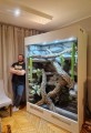 terrarium dla legwana, terrarium na zamówienie, terrarium tropikalne, legwan zielony, legwan, legwan fidżyjski, iguana